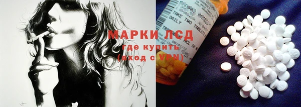 шишки Абаза