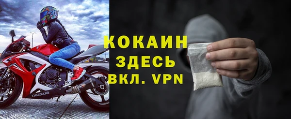 шишки Абаза