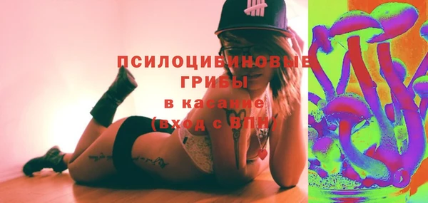шишки Абаза