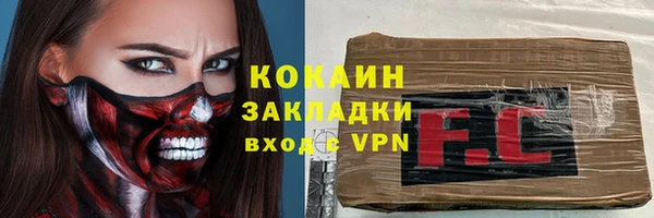 шишки Абаза