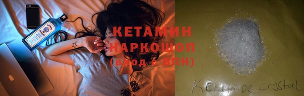 шишки Абаза