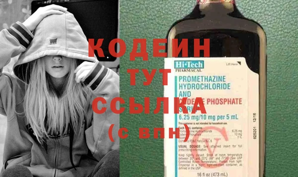 шишки Абаза