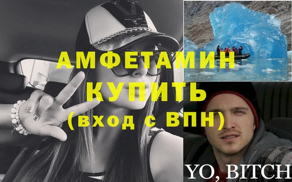 шишки Абаза
