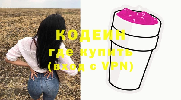 шишки Абаза