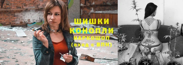 шишки Абаза