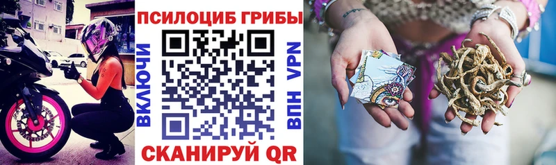продажа наркотиков Аксай Галлюциногенные грибы MAGIC MUSHROOMS